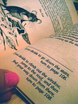 choose-your-own-adventure